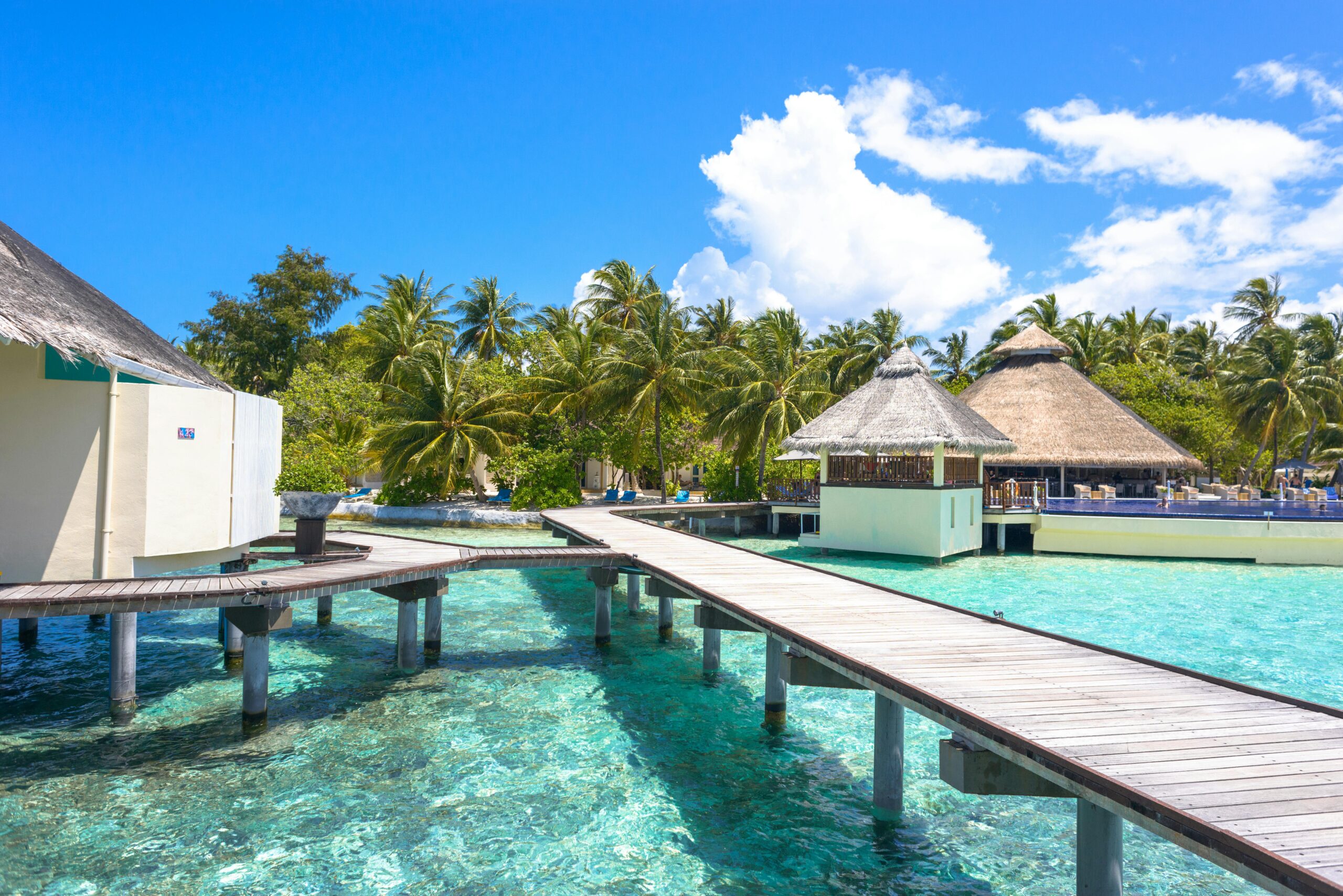 Explore tropical paradise with stunning overwater bungalows and crystal-clear waters in the Maldives.